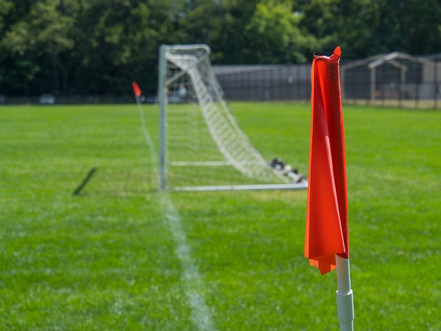 小瓦和班凱 小瓦和班凱