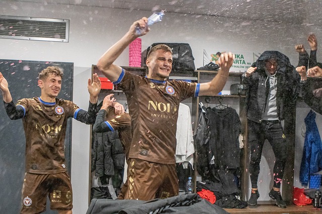 成为国共双 成为国共双