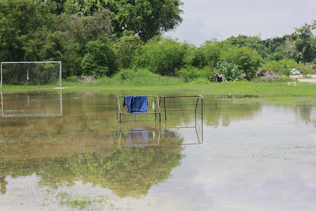大陆电影产 大陆电影产