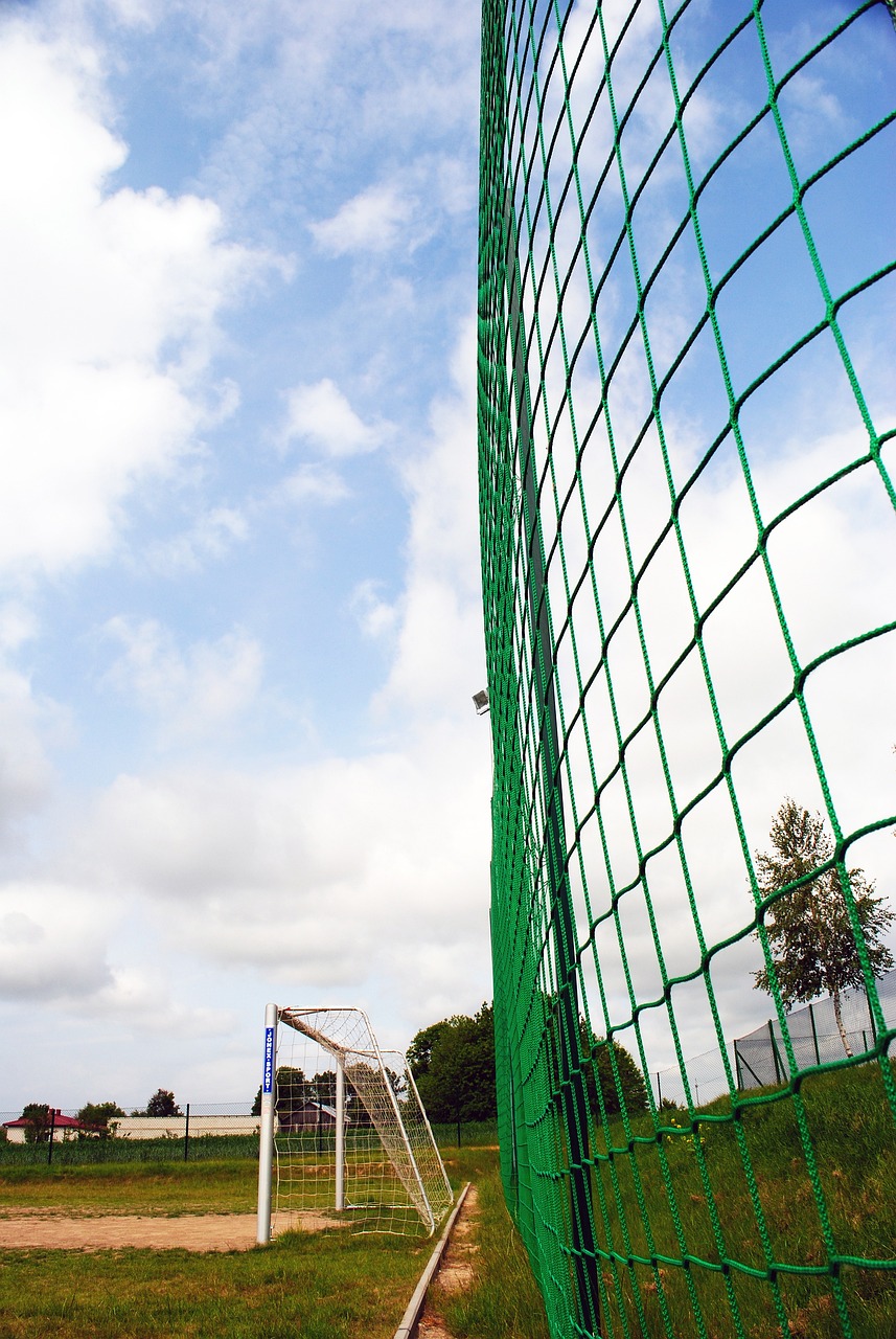 员的情绪动 员的情绪动