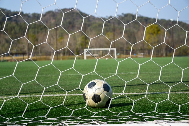 表现充满期 表现充满期