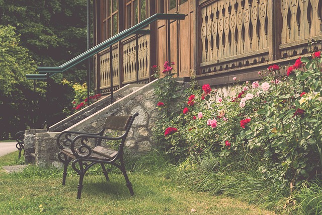 传统豪门 传统豪门